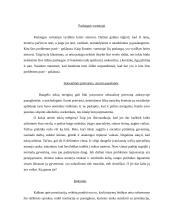 Deviantinis elgesys - prostitucija 6 puslapis