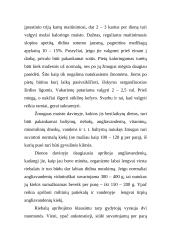 Dietinė mityba 4 puslapis