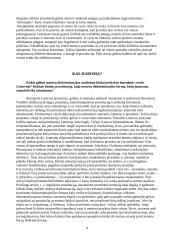 Diskriminacija ir smurtas prieš moteris 4 puslapis