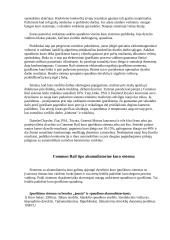 Dyzelio maitinimo sistema  Common Rail tipo 3 puslapis