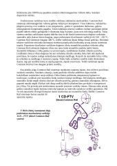 Dyzelio maitinimo sistema  Common Rail tipo 5 puslapis