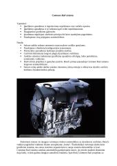 Dyzelio maitinimo sistema  Common Rail tipo 6 puslapis