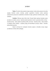 Draudimo įmoka (premija) 2 puslapis