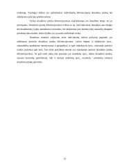 Draudimo įmoka (premija) 13 puslapis