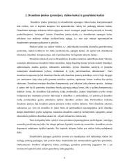 Draudimo įmoka (premija) 6 puslapis