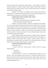 Draudimo įmoka (premija) 10 puslapis