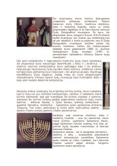 Drožybos technika 4 puslapis