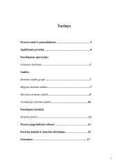 Drožimo pagrindai 2 puslapis