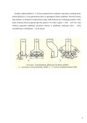 Drožimo pagrindai 6 puslapis