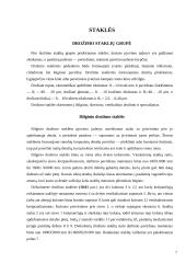 Drožimo pagrindai 7 puslapis