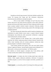 DSL modemo technologija 2 puslapis