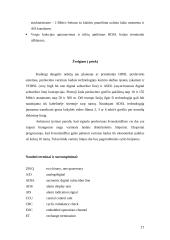 DSL modemo technologija 17 puslapis