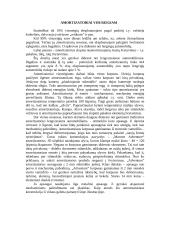 Dujiniai amortizatoriai 3 puslapis