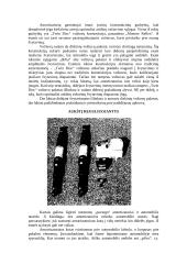 Dujiniai amortizatoriai 5 puslapis