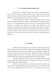 Efektyvios rinkodaros komunikacijos sukūrimas: UAb "Speirsas" 13 puslapis