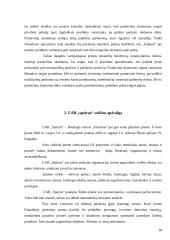 Efektyvios rinkodaros komunikacijos sukūrimas: UAb "Speirsas" 18 puslapis