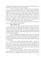 Efektyvios rinkodaros komunikacijos sukūrimas: UAb "Speirsas" 6 puslapis