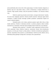 Efektyvios rinkodaros komunikacijos sukūrimas: UAb "Speirsas" 9 puslapis