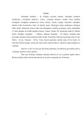 Ekologinis pėdsakas 2 puslapis