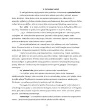 Ekonominių kaštų samprata: realieji kaštai. Griovimo kaštai 12 puslapis