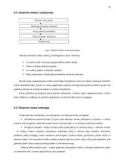 Eksporto operacijos 14 puslapis