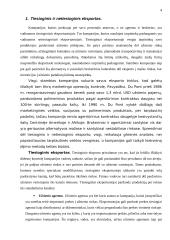 Eksporto operacijos 4 puslapis