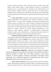 Eksporto operacijos 5 puslapis