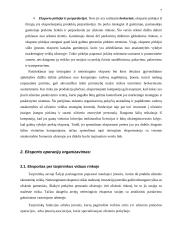 Eksporto operacijos 7 puslapis