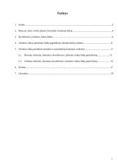 Eksportas ir gamyba užsienyje 2 puslapis