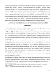 Eksportas ir gamyba užsienyje 11 puslapis