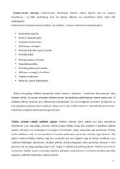 Eksportas ir gamyba užsienyje 12 puslapis