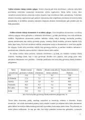 Eksportas ir gamyba užsienyje 13 puslapis