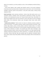 Eksportas ir gamyba užsienyje 16 puslapis