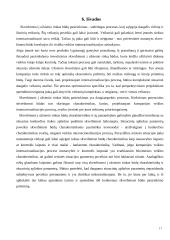 Eksportas ir gamyba užsienyje 17 puslapis