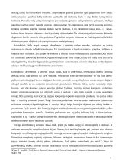 Eksportas ir gamyba užsienyje 6 puslapis