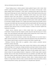 Eksportas ir gamyba užsienyje 7 puslapis