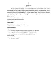 Eksporto prekių gabenimo dokumentai ir jų analizė 2 puslapis