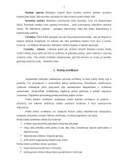 Eksporto prekių gabenimo dokumentai ir jų analizė 6 puslapis