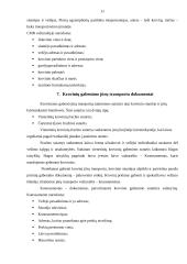 Eksporto prekių gabenimo dokumentai ir jų analizė 10 puslapis