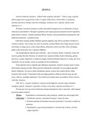 Ekstremalių įvykių kriterijai