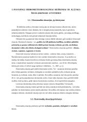 Ekstremalių įvykių kriterijai 2 puslapis