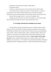 Ekstremalių įvykių kriterijai 11 puslapis