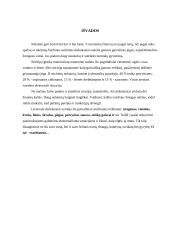 Ekstremalių įvykių kriterijai 12 puslapis