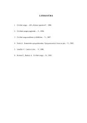 Ekstremalių įvykių kriterijai 13 puslapis