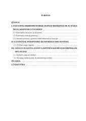 Ekstremalių įvykių kriterijai 14 puslapis