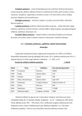 Ekstremalių įvykių kriterijai 3 puslapis