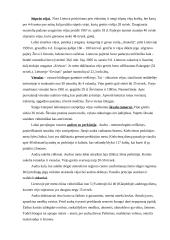 Ekstremalių įvykių kriterijai 5 puslapis