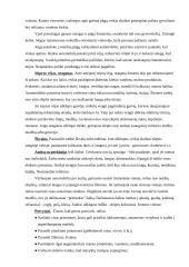 Ekstremalių įvykių kriterijai 10 puslapis