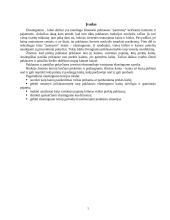 Elastingumo teorijos tikslai 2 puslapis