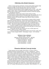 Elektrinės Lietuvoje 2 puslapis